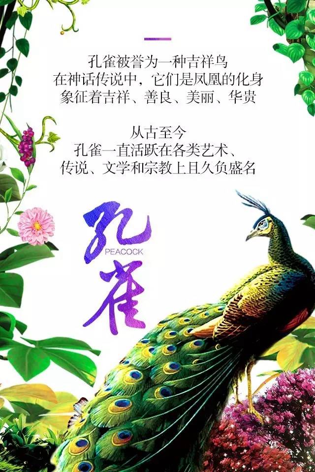 【915-918邵陽(yáng)秋季車展】鳳臨枝頭，雀雀雀雀雀實(shí)驚艷！