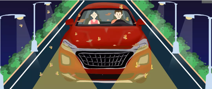 安全清除車身飛蟲，僅需十分鐘